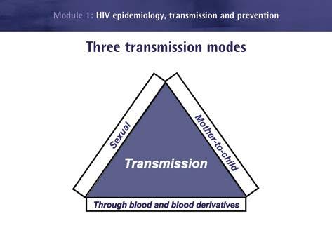 HIV basic knowledge and stigma reduction in health care settings HIV transmission Slide 4 HIV is transmitted via three routes: the sexual route, through blood and blood derivatives and from