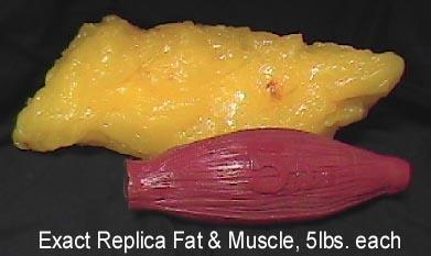 Disadvantages of BMI It does not account for weight that comes from muscle and