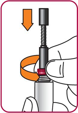 4. Lower the rod.