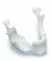 Select from three (3) types of anatomical model materials to meet your specific need: Anatomical model Acrylic Polyamide Plaster Sterilizable Highlight tooth roots and nerves Ability to cut model
