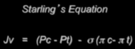 Pulmonary Physiology Starling s Equation Jv = (Pc - Pt) - σ (π c- π t) PE: Determining factors Pulmonary Capillary