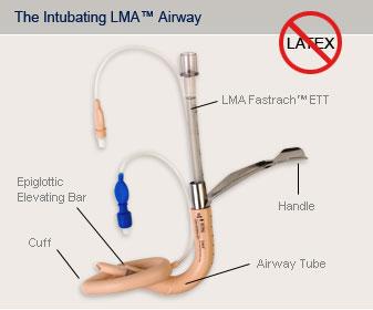 LMA Fastrach (intubating LMA) Rigid, anatomically curved, airway tube that is wide enough to accept an 8.