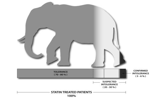 Statin-Intolerance: The Elephant in The Room Mancini et al, DOI: http://dx.doi.org/10.1016