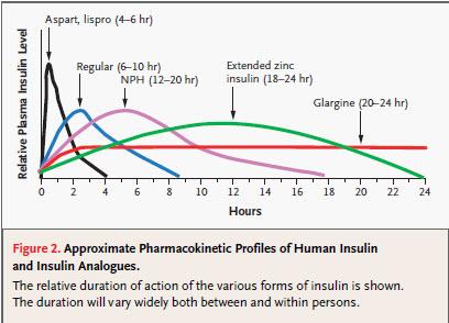 Pharmacokinetics of Insulin Products Adapted