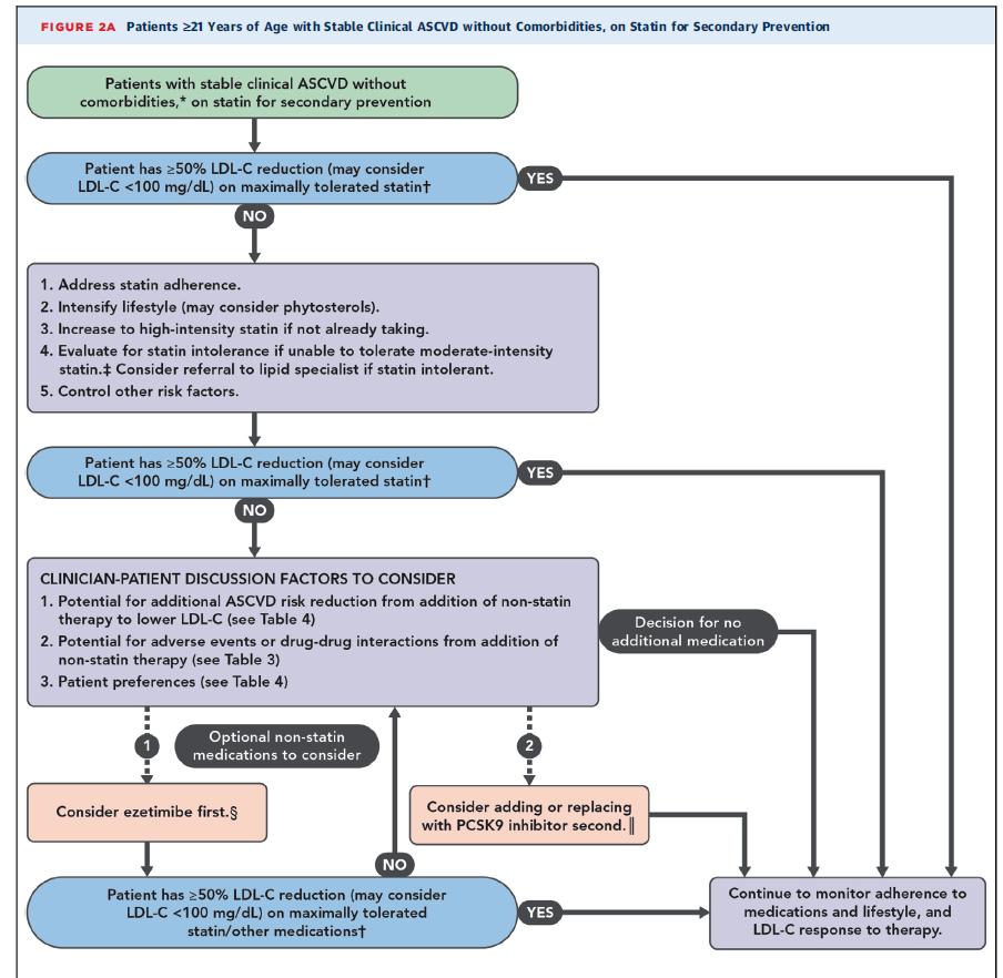 Decision Pathway Algorithms: General Patient group addressed Threshold for considering additional action Clinical actions to consider to achieve desired response Factors to consider
