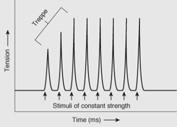 Factors affecting muscle tension development Tetanus results if the stimuli are provided at a frequency high enough that no relaxation can occur between contractions From Powers SK, Howley ET: