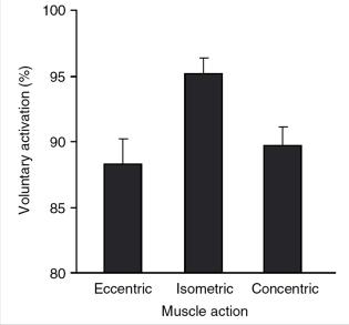 Reduced central activation during maximal eccentric muscle contraction in vivo? A: yes! Isometric CONcentric ECCentric 9 7 93 ± 5 % 92 ± 5 % 79 ± 8 % Isometric Con Ecc m.