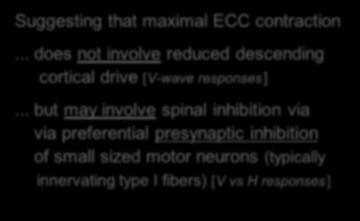 H-reflex recording during maximal ECC contraction isometric CONcentric ECCentric H max H max H max Suggesting that maximal ECC contraction M max M max M.