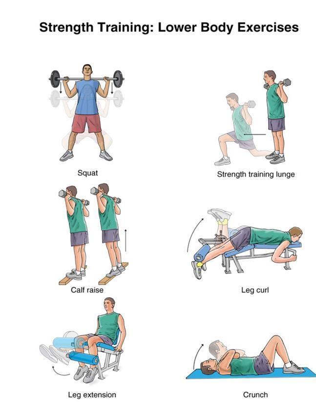 As training progresses, the weights can be made heavier and rest periods can be reduced. The number of times you move the weights is called a repetition or rep.