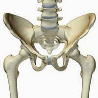 be hip joint Radiating to the foot = lumbar spine Locate the hip pain