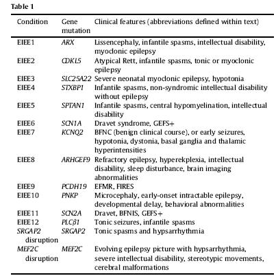 Genetics of Neonatal Epileptic