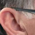 The curve of Thin Tubing should rest on top of ear comfortably (next to glasses).