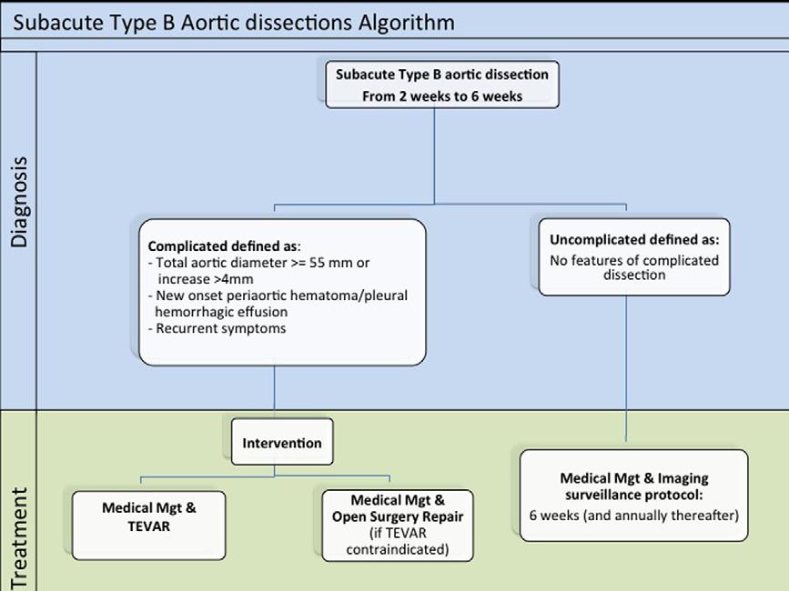 mm) of aortic diameter should be considered signs of instability in the chronic phase and indication for TEVAR, or in unsuitable anatomy, indication for open surgery (Fig. 6).