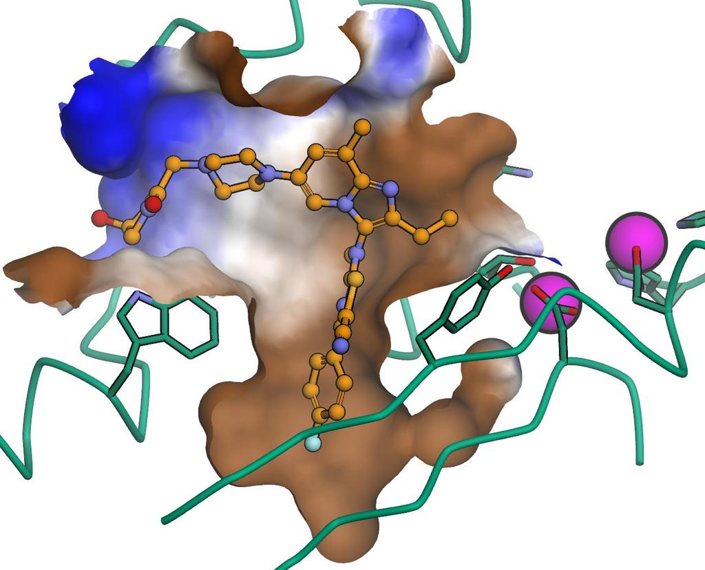 X-ray structure GLPG1690 in human Autotaxin channel