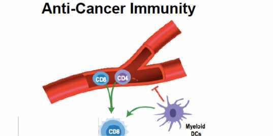 SHIFTING THE BALANCE TOWARD ANTI-CANCER IMMUNITY WITH COMBINED