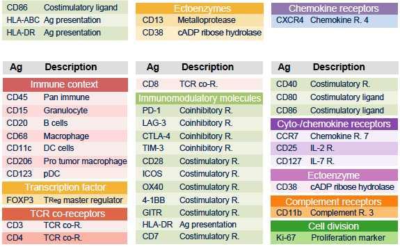 Markers used to characterize T cell phenotypes.