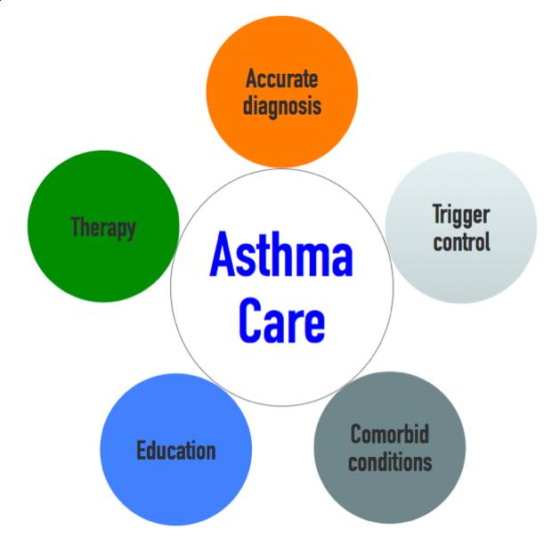 Approach to Severe Asthma 13 Stepwise Approach to Asthma Therapy GINA Guidelines,