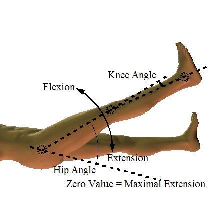 MOVEMENTS OF HIP JOINT During extension of the hip joint, the fibrous layer of the joint capsule, especially the iliofemoral ligament, is