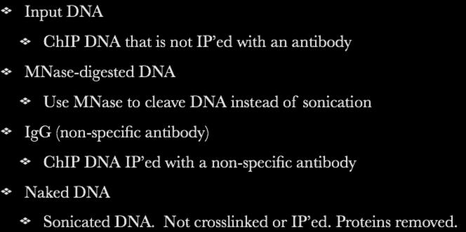 Reference Types We Examined Input DNA ChIP DNA that is not IP ed with an antibody MNase-digested DNA Use MNase to cleave DNA instead of