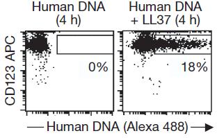 LL37 Converts Otherwise Inert self-dna into