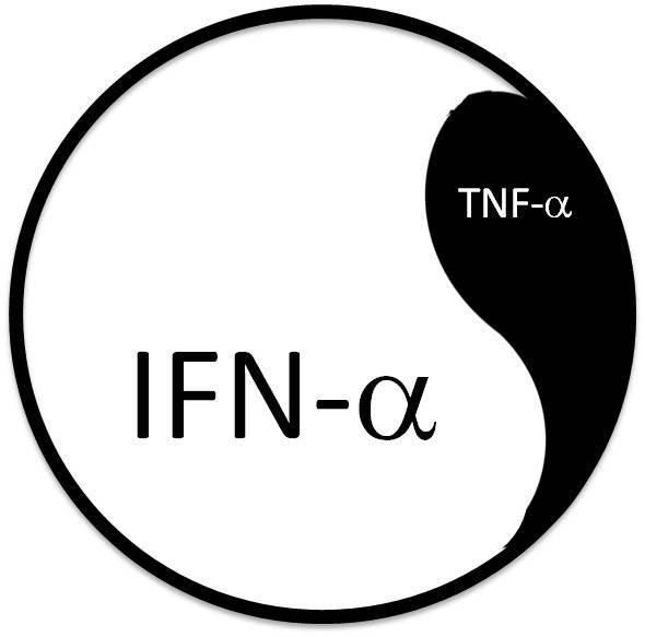 Dysregulation by TNF-Inhibitors Anti-TNF-