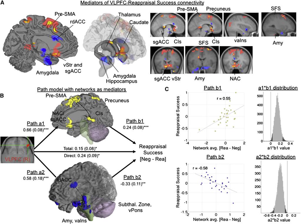 Neuron Mediated PFC-Emotion Pathways in Reappraisal Figure 5. Mediation Results in Whole-Brain Search (A) Significant regions (p < 0.