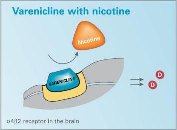 Varenicline partial nicotine agonist Part blocking Reduces the pleasurable effects of smoking and