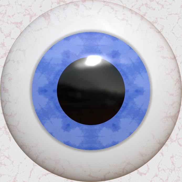 Reception: Eyes receive light Processing: Sensitivity Visual perceptual