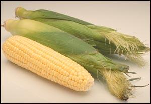 Yellow Corn (402) Provides 2 carotenoids Lutein & zeaxanthin.