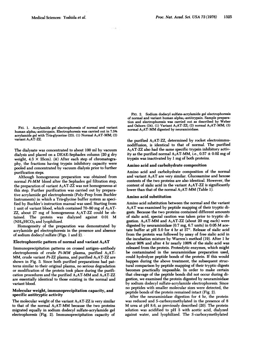 Medical Sciences: Yoshida et al. Proc. Nat. Acad. Sci. USA 73 (1976) 1325 p 2 1 2 3 1.2 qi ~ FG. 1. Acrylamide gel electrophoresis of normal and variant human alpha1-antitrypsin.