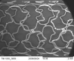 per microdot < 1 micron thick, abluminal and low molecular weight biodegradable polymer