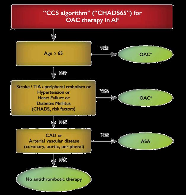 2016 AF Guidelines CHADS-65 Macle L.