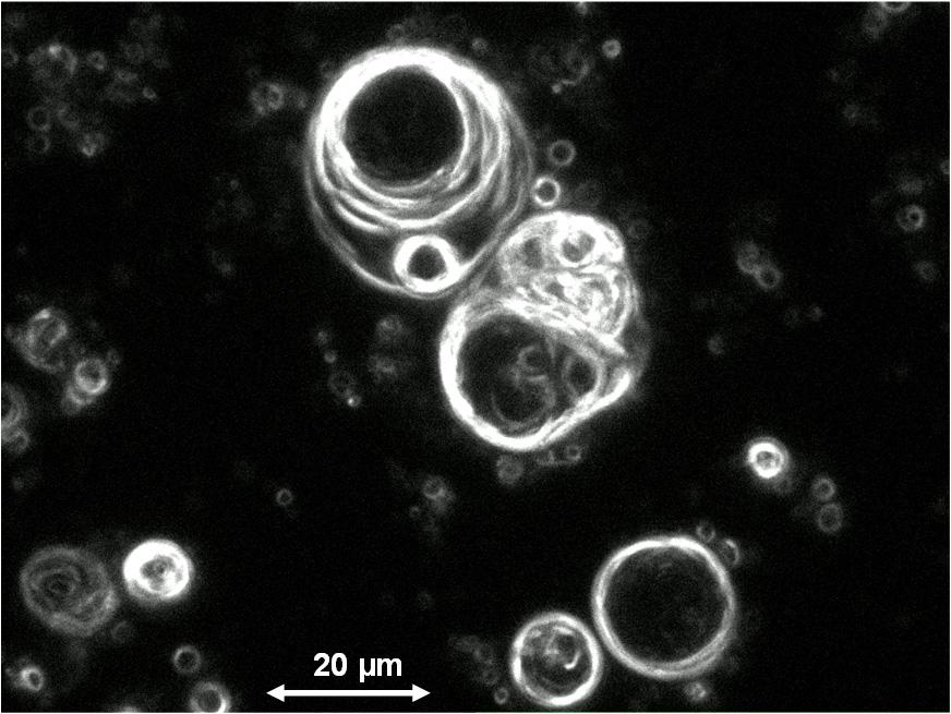 Life 2017, 7, 3 4 10 ontain internal vesiles, both features possibly deriving from fusion droplets in gas phase Life 2017, 7, 3 4 10 (Figure 2).