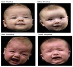 , 13 Amygdala Anterior Cingulate Orbitofrontal Cortex Right Hemisphere Sensitive Period in infancy Role of