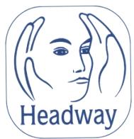HEADWAY SWANSEA NEWSLETTER Issue 25 November 2016 The brain injury