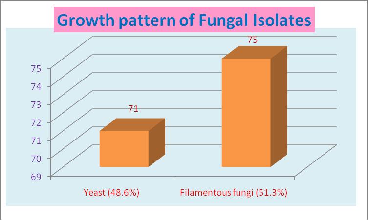 Fig.2 Fungal growth