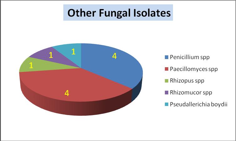 Fig.4 Distribution of other fungal isolates Fig.