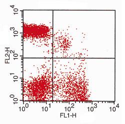 Donor Characterization KLH CD4 CD4 5. Donor Selection CD8 4.