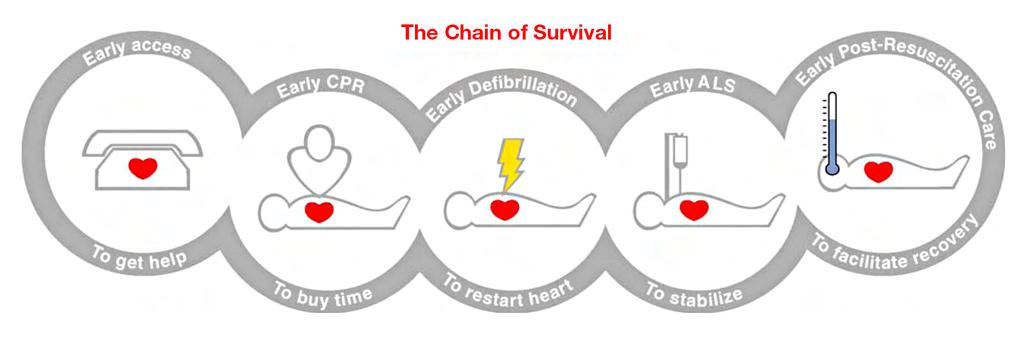 Figure 2. Chain-of-Survival. 2.4.