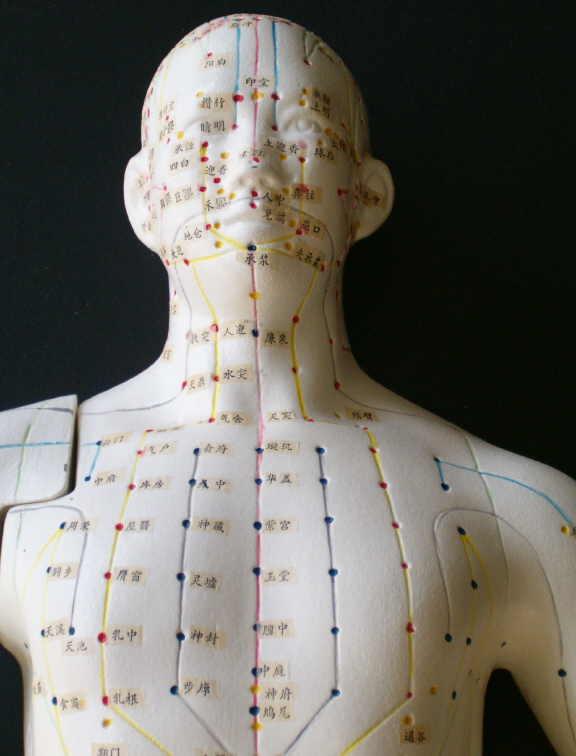 Acupuncture is based on the theory of meridians.
