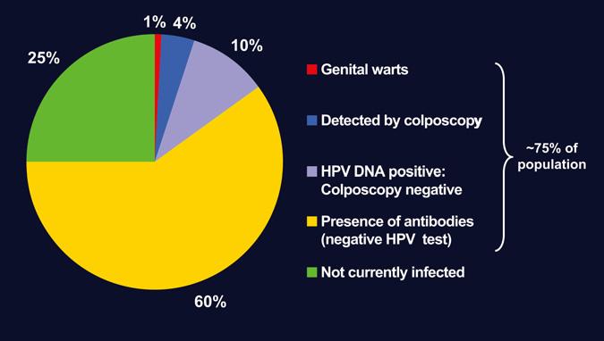 Figure 1. Human papillomavirus (HPV) infection in the United States. (Adapted from Koutsky L. Epidemiology of genital human papillomavirus infection. Am J Med. 1997;102:3 8.) Figure 2.