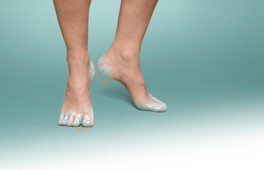 Protection from heel to toe To collect your