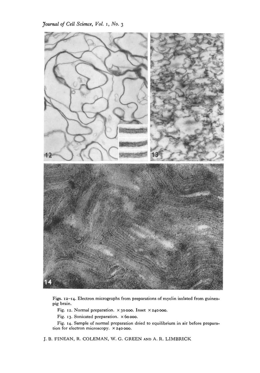 Journal of Cell Science, Vol. i, No. 3 Figs. 12-14. Electron micrographs from preparations of myelin isolated from guineapig brain. Fig. 12. Normal preparation, x 30000. Inset x 240000. Fig. 13.