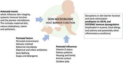 SKIN MICROBIOME Directly affects the maturation of immune system