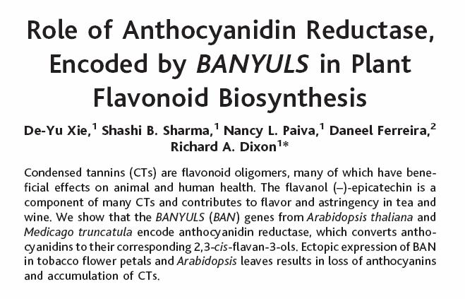 FlavAnols Biosynthesis