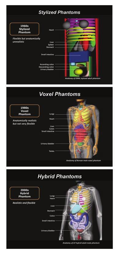 Stylized (mathematical) phantoms Flexible but anatomically unrealistic Voxel (tomographic) phantoms