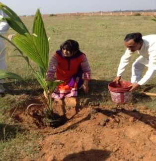 Vidyabharati Dr Suman Dube,Cultural Secretary, NMO, Jharkhand planting a tree of coconut at the campus