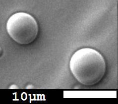 Figure 1. Microcapsules containing S.