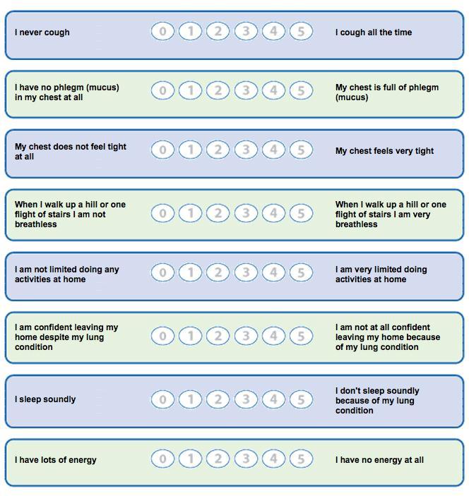 The CAT questionnaire (download from - www.catestonline.co.