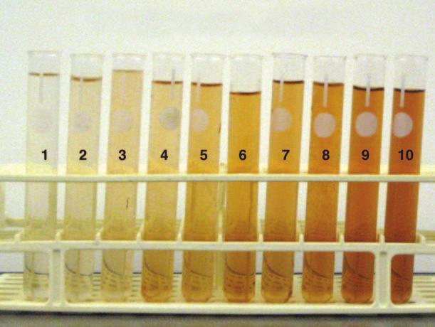 enzymatic reaction, you must measure a change in the amount of at least one specific substrate or product over time.